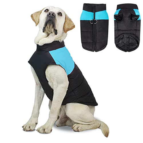 Komate Hundemantel mit D-Ring Geschirr Wasserdicht Winter Haustier Hund Mantel Jacke Weste Warm Welpen Chiuahaha Kleidung Winterjacke Hundejacke für Kleine Mittlere Große Hunde Katze (S, Blau) von Komate