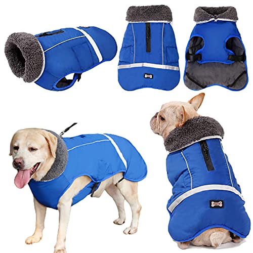 Komate wasserdichte Hundejacke Mäntel Winter Welpe warme Jacke Weste Sicherheitsreflektor für kleine mittelgroße Hunde Winddichter Anzug für kaltes Wetter L Blau von Komate