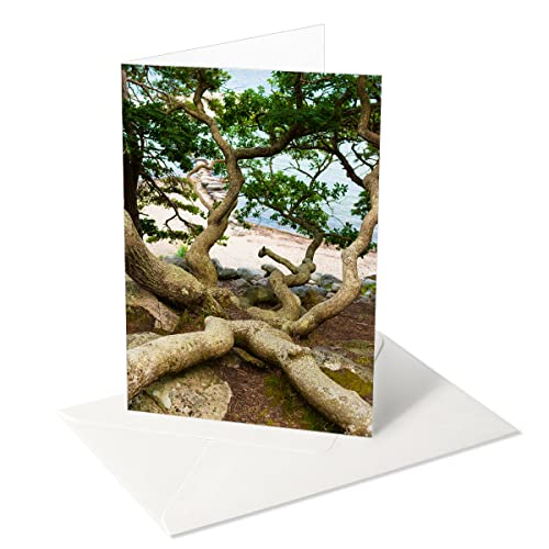 Foto Glück Motiv: Baum am Meer von Komma³ Papeterie und mehr e.K. Inh. A. Weise