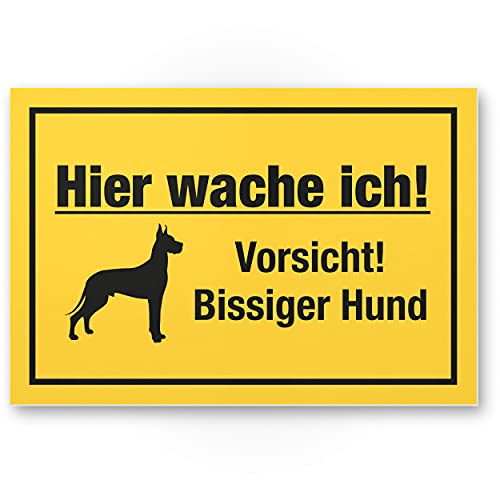 Komma Security Hier wache ich Vorsicht bissiger Hund - Hunde Schild Hinweisschild Gartentor Gartenzaun - Türschild Haustüre Warnschild Abschreckung Einbruchschutz - Achtung Hund von Komma Security