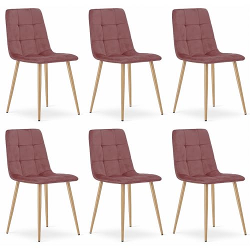 Komodee CETARA rosa Velours-Polstersessel mit Armlehnen, Metallbeine, Maße 45x87x51 cm, für Wohnzimmer, Büro, 6 Stück, Belastung bis 110 kg von Komodee