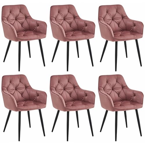 Komodee IRGOLI rosa Samt gepolsterten Stuhl mit Armlehnen Metall Beine für Wohnzimmer, Küche, Esszimmer, 6 Stück, Last bis zu 110 kg von Komodee