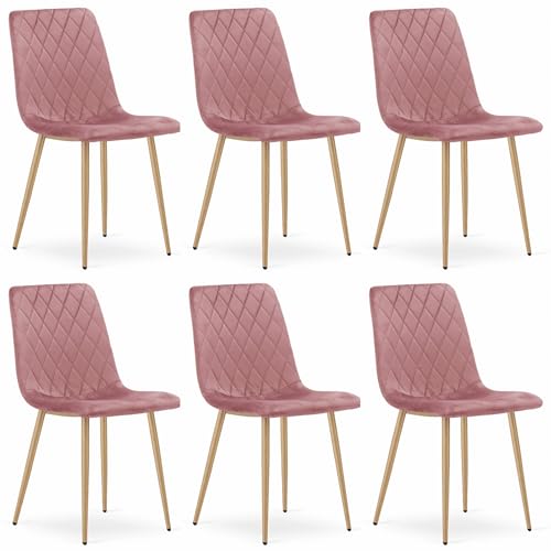Komodee SCANNO Stuhl, rosa Velours gepolstert, Metallbeine in Holzfarbe, Maße 45x89x53 cm, für Wohnzimmer, Arbeitszimmer, 6 Stück von Komodee