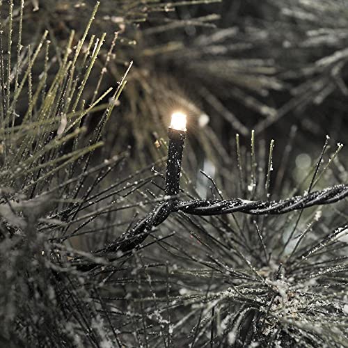 Konstsmide 3610-110 Micro LED Lichterkette / für Außen (IP44) / 24V Außentrafo / 40 warm weiße Dioden / schwarzes Kabel von Konstsmide