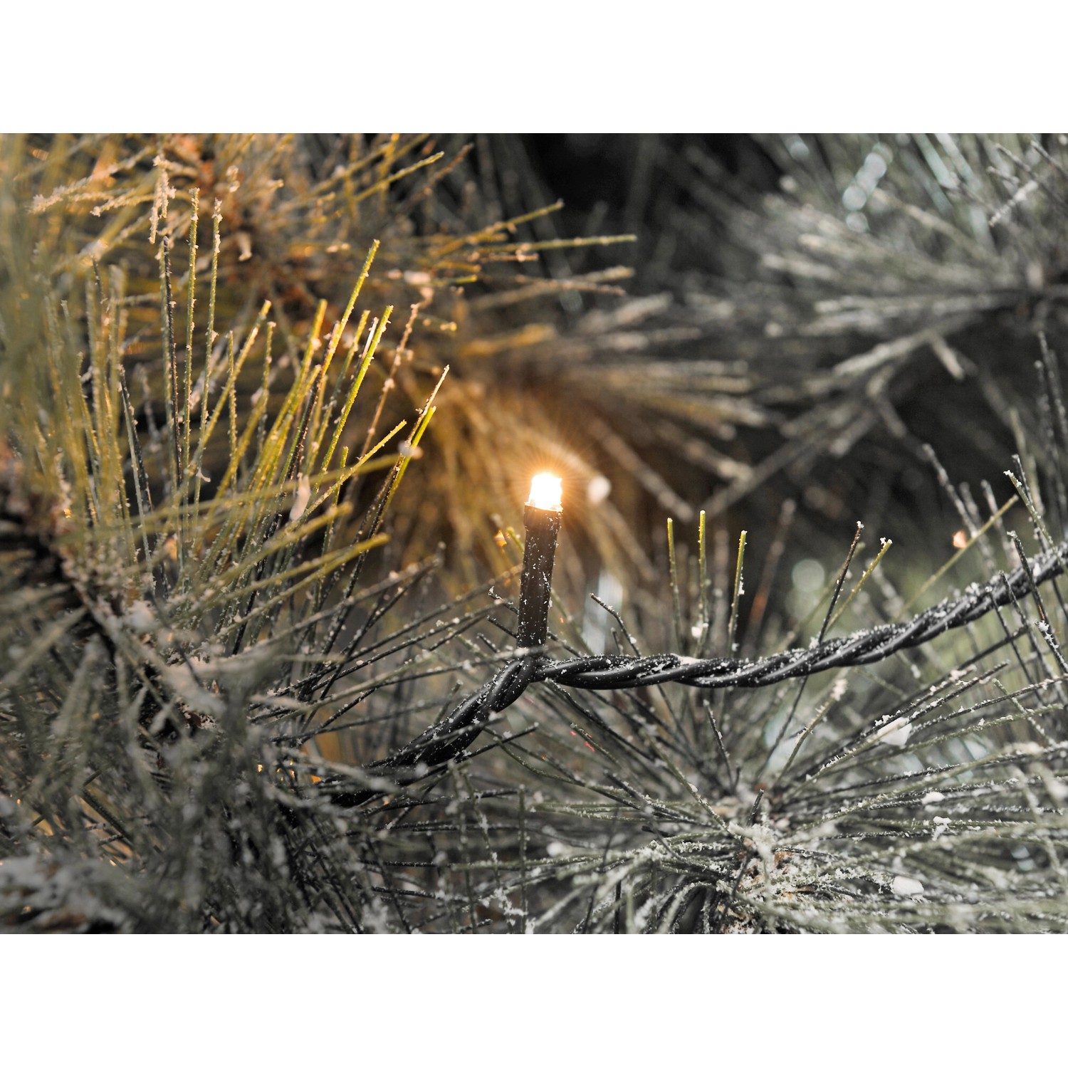 Konstsmide Micro LED Lichterkette 120 bernsteinf. LEDs Multifkt. innen und außen Konstsmide Micro LED Lichterkette 120 bernsteinf. LEDs Multifkt. innen und außen von Konstsmide