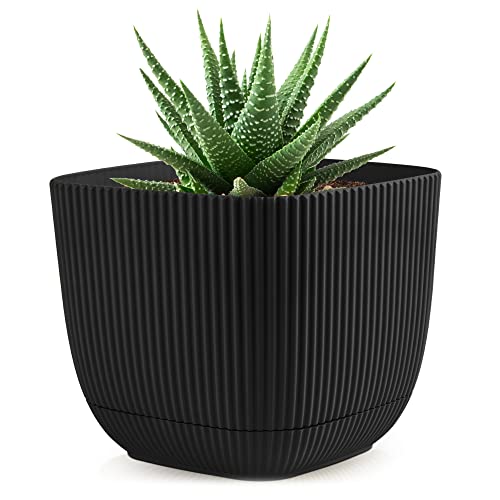 Konzept 11 - Blumentopf klein 0,68 l mit Unterzetzer, quadratischer Übertopf 11 x 11 cm, Pflanzentopf für Zimmerpflanzen aus Kunststoff, Grau von Konzept 11