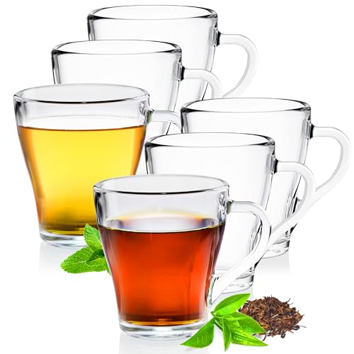 Konzept 11 - Teegläser mit Henkel, 6er Set, Kaffeegläser 250 ml, Trinkgläser, Perfekte Größe für Tee, Kaffee, Wasser, Eistee, Saft, Glühwein, für Kalte und Heiße Getränke, Transparent von Konzept 11