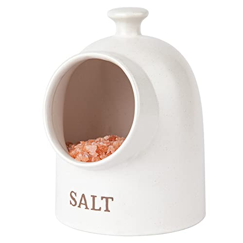KooK Salzschwein, Salzkeller, Salztopf, Aufsatz-Aufbewahrungsbehälter für Gewürze, weißer Salzkeller, Keramik, Steingut, spülmaschinenfest, 425 ml, gesprenkelter Haferflocken, Farmhouse Collection von KooK