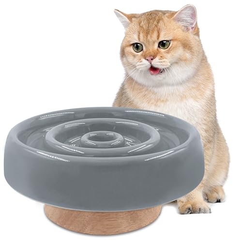 Anti Schling Napf Katze Keramik, Katzen Schlingen Katzennapf Erhöht, Einfach zu Reinigen, Anti-Erbrechen Katzennäpfe Futternapf, Slow Feeder Hund für Katzen und kleine Hunde (Grau) von KoolYouth