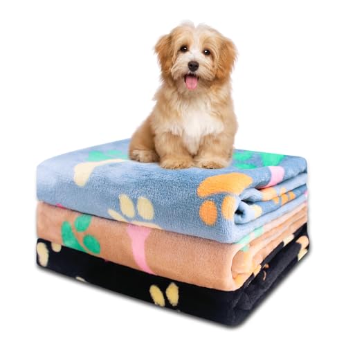 Katzendecke für Sofa, 3 PCS Katzendecke Klein für Katzen, Waschbar Hundedecke Flauschig für Sofa, Bett, Weiche Warme Decke Haustier für Kleine Mittlere Hunde Katzen (Schwarz+Blau+Braun, 76 x 52 cm) von KoolYouth