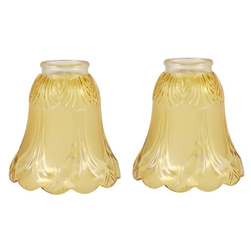 Koolenry 2-Teiliges Set Aus Frostigen und Klaren Glas-Deckenventilator-Kronleuchterlampenschirmen Als von Koolenry