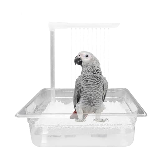 Koolenry Automatische Badebox für Papageien, Automatische -Dusche für Graupapageien, Kakadus, Wellensittiche, EU-Stecker von Koolenry
