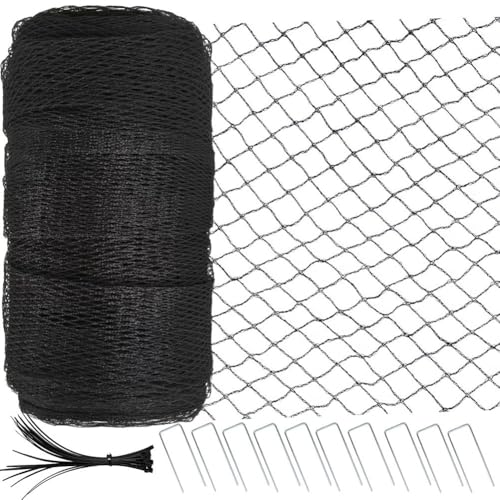 Koolenry Gartennetz 4 X 10 M, Extra Starkes Vogelschutznetz Aus Gewebtem Netz für Obstbäume, Pflanzen und Gemüse, Wiederverwendbares Teichnetz Koolenry Gartennetz 4 X 10 M, Extra Starkes Vogelschutznetz Aus Gewebtem Netz für Obstbäume, Pflanzen und Gemüse, Wiederverwendbares Teichnetz von Koolenry