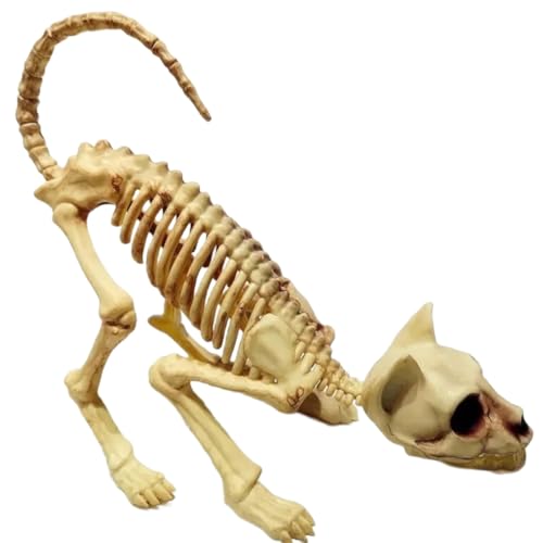 Koolenry Halloween-Grusel-Dekoration, Hockendes Katzenschädel-Modell, Gruseliges Tier für Vampir-Partytricks von Koolenry