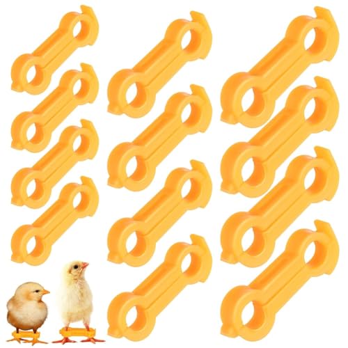 Koolenry Hühnchen -Humpel -Zahnspangen, Beinkükenbein Humpeln, 12psc Baby Chick Splay Bein Humpel -Klammer, Geflügelbeinbänder Koolenry Hühnchen -Humpel -Zahnspangen, Beinkükenbein Humpeln, 12psc Baby Chick Splay Bein Humpel -Klammer, Geflügelbeinbänder von Koolenry