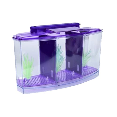 Koolenry Mini Zuchtfischtank Aquarium Fischtank LED ACRYRIC DREI Abteilungen Zuchtisolation Box für Kleine Fische Lila von Koolenry