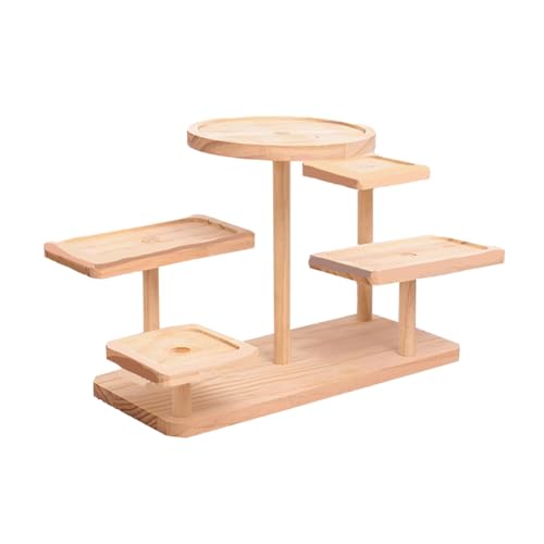Koolenry Organizer Cabinet Riser Desktop Display -Schelfständer für Dolls Collection Blumentopf Dessert Cupcake Party von Koolenry