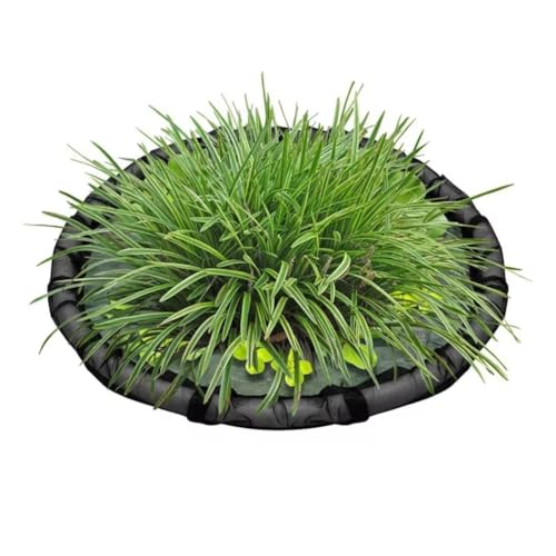 Koolenry Teichnetze Schwimmende Pflanze Corral Floating Island Plant Protector Rund Fischtankzaun für Entengeschwemmungswasser im Freien 80 cm Koolenry Teichnetze Schwimmende Pflanze Corral Floating Island Plant Protector Rund Fischtankzaun für Entengeschwemmungswasser im Freien 80 cm von Koolenry