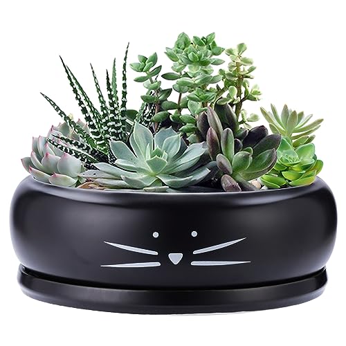 Koolkatkoo 20,3 cm großer Keramik-Sukkulenten-Übertopf mit Drainageloch und Tablett, Blumentopf für Innen- und Außenpflanzen, runder flacher Pflanzgefäß, Geschenke für Katzenliebhaber, Schwarz Koolkatkoo 20,3 cm großer Keramik-Sukkulenten-Übertopf mit Drainageloch und Tablett, Blumentopf für Innen- und Außenpflanzen, runder flacher Pflanzgefäß, Geschenke für Katzenliebhaber, Schwarz von Koolkatkoo