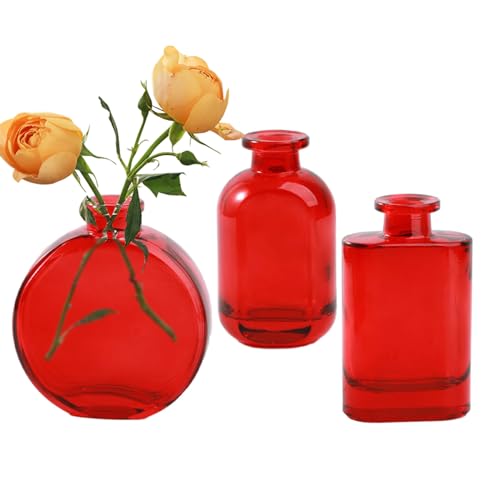 Jumuao Glasvase Vase für Blumen 3er-Set Kleine Blumenvasen aus Glas,Mini-Vasen Glasfläschchen,kleine Vase für Tischdeko,Tischvase Glasvase für Blumen und Trockenblumen (Rot) von Koomuao