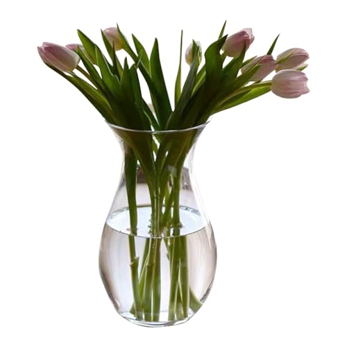 Jumuao Vase Glasvase 23cm Hoch Thickened Vase für Tulpen,Vase aus Glas,Klarglasvase,Handmade Vasen,Tischdeko Wohnzimmer, für Pampasgras Tulpen Rose Hochzeit Deko von Koomuao