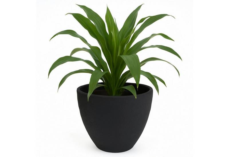 Koopman Blumentopf Pflanztopf Übertopf Blumenkübel Pflanzkübel (1 St), 40x31cm, Steinoptik, Kunststoff, Anthrazit, Garten von Koopman