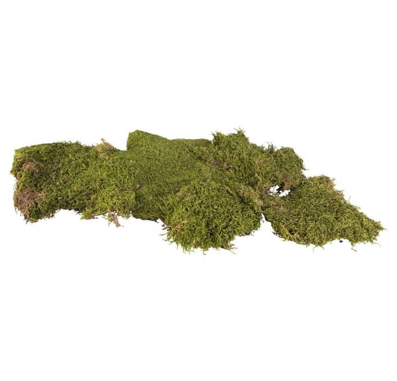 Koopmann Weihnachtsfigur Deko-Moos - 100 g von Koopmann