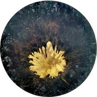 Kopar Im Alter Von Messing Wandkunst von KoparStudio