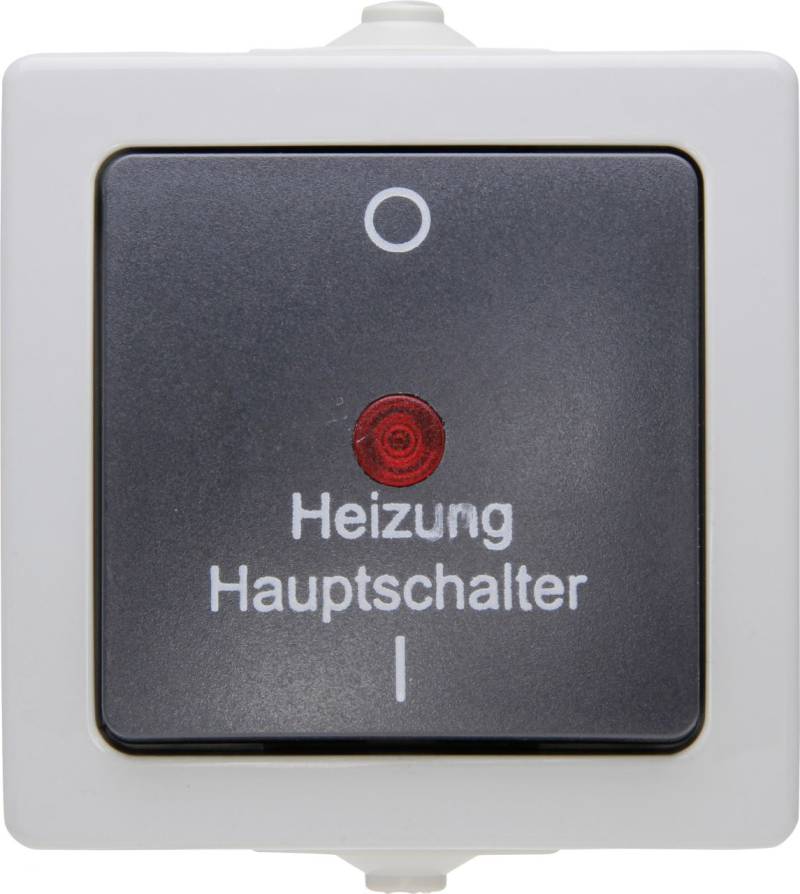 Kopp Feuchtraum Heizungshauptschalter Nautic, grau, 565356002 von Kopp Heinrich