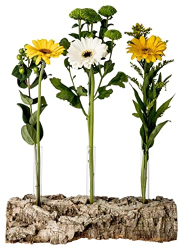 Blumen-Vase aus Korkrinde mit 3 Reagenzgläsern | Stilvolle und nachhaltige Dekoration | Rinde der Korkeiche | natürlich | ökologisch | Kork | vegan | 15 x 30 cm von Kork-Deko
