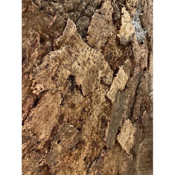 Kork-Deko 92,17 EUR/qm Korkrückwand Desert 90 x 60 cm (Rückwand Terrarium) von Kork-Deko