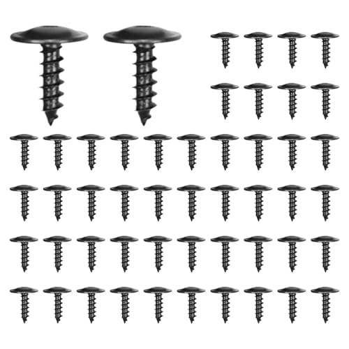Packung mit 50 Selbstschneidenden Rundschrauben Set M5 x 16 mm,Rostfreie Flachkopf-Karosserieschrauben für Auto-Kotflügel, Radkästen, Stoßfänger Packung mit 50 Selbstschneidenden Rundschrauben Set M5 x 16 mm,Rostfreie Flachkopf-Karosserieschrauben für Auto-Kotflügel, Radkästen, Stoßfänger von Korysnew