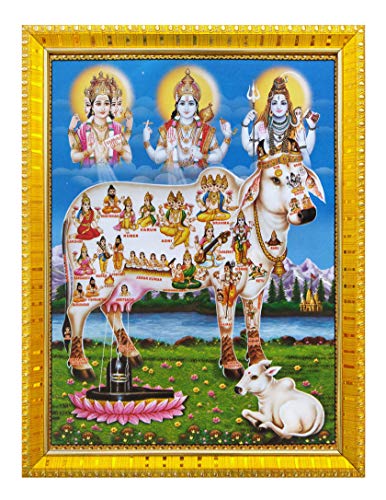 Koshtak kamdhenu Bilderrahmen Kuh mit Brahma Vishnu Mahesh/Shiva Giving Blessing mit laminiertem Poster für Puja Zimmer Tempelanbetung / Wandbehang / Geschenk / Heimdekoration (30 x 23 cm) von Koshtak