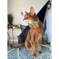 Kotomoda Cat Wear Fliege Eines Tages Im Frühling von KotomodaCATWEAR