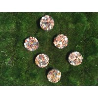 6Er Set Trittsteine, Feengarten Zubehör, Miniatur Gartenzubehör, Kopfstein 6Er Set Trittsteine, Feengarten Zubehör, Miniatur Gartenzubehör, Kopfstein von KousoulasKreations