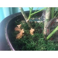 Feengarten Zubehör, Miniatur Hirsch Set Von Drei, Terrarium Garten Accessoire, Wichtel Garten, Feen Haustiere Feengarten Zubehör, Miniatur Hirsch Set Von Drei, Terrarium Garten Accessoire, Wichtel Garten, Feen Haustiere von KousoulasKreations