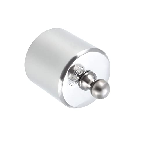 Kozelo Skala Kalibrierung Gewicht - [100g x M2 Präzision] Chrom Plattiert Stahl Gramm Gewicht für Digitaler Schmuck Skala Wissenschaft Labor Gleichgewicht Silberton von Kozelo