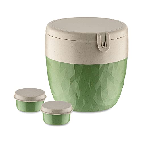 BENTOBOX L Bentobox nature leaf green von Koziol