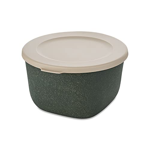 CONNECT BOX 1 mit Deckel 1l nature ash grey von Koziol