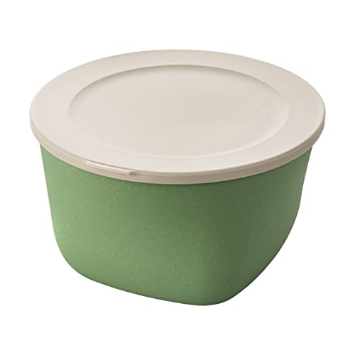 CONNECT BOX 1 mit Deckel 1l nature leaf green von Koziol