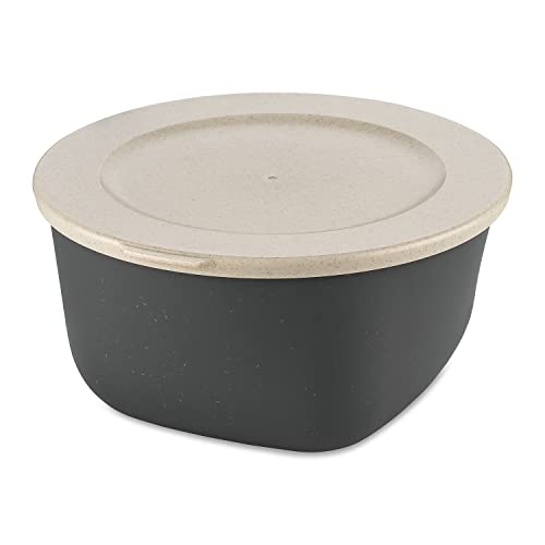 CONNECT BOX 2 Box mit Deckel 2l nature ash grey von Koziol