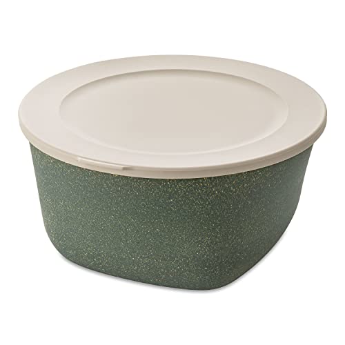 CONNECT BOX 4 mit Deckel 4l nature ash grey CONNECT BOX 4 mit Deckel 4l nature ash grey von Koziol