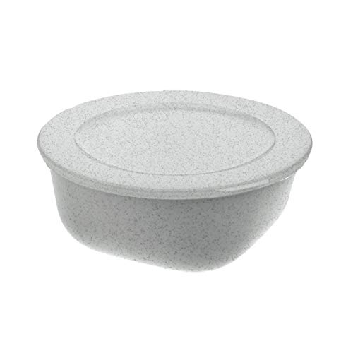 Koziol Box mit Deckel 700 ml CONNECT BOX 0,7 von Koziol