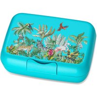 Koziol - Candy L Kinder-Lunchbox Jungle, organic turquoise von Koziol