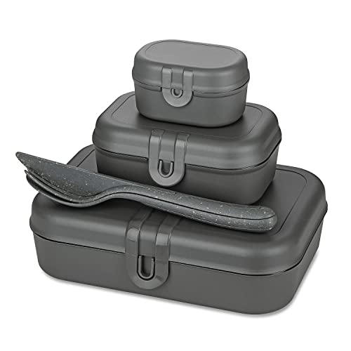 Koziol PASCAL READY Lunchbox-Set + Besteck-Set nature ash grey von Koziol