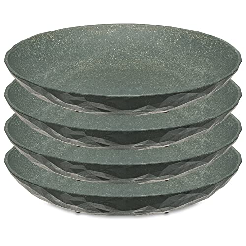 Koziol Suppenteller, 220 mm, 4 Stück, 5006701, Natur Ash Grey von Koziol