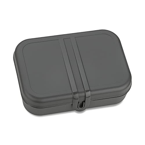 PASCAL L Lunchbox mit Trennsteg nature ash grey von Koziol