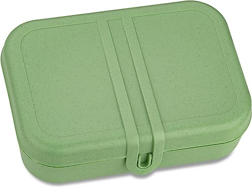 PASCAL L Lunchbox mit Trennsteg nature leaf green von Koziol