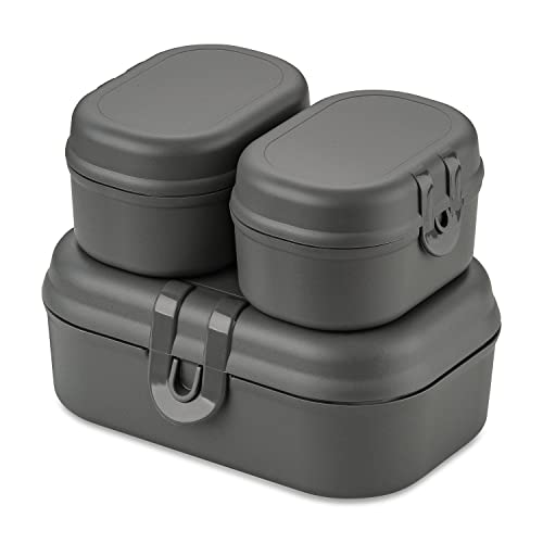 Koziol PASCAL READY MINI Lunchbox-Set nature ash grey von Koziol