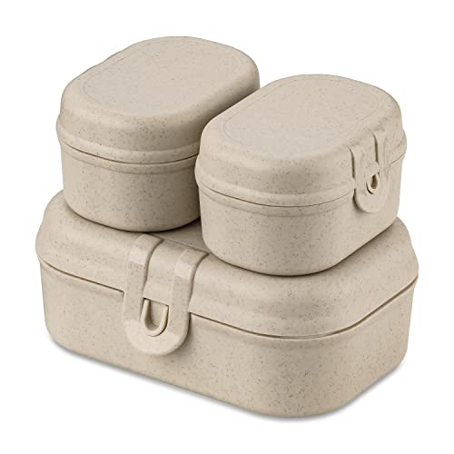 Koziol PASCAL READY MINI Lunchbox-Set nature desert sand von Koziol